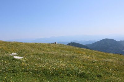 Kliknite za ogled večje slike