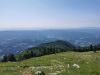 IMG_20250621_105430.jpg