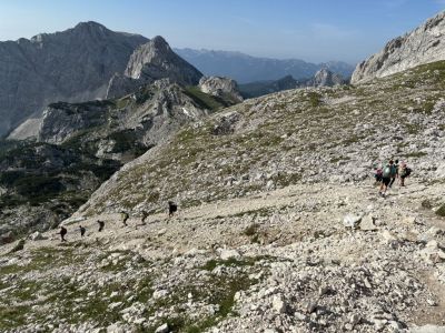 Kliknite za ogled večje slike
