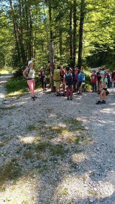 Kliknite za ogled večje slike