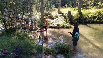 Kliknite za ogled večje slike