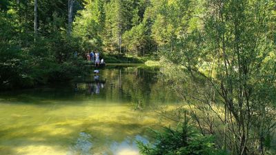 Kliknite za ogled večje slike