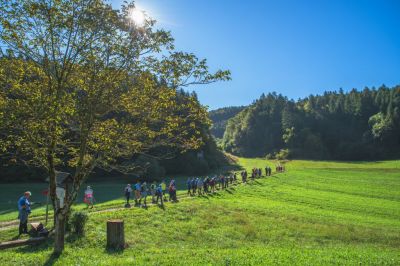 Kliknite za ogled večje slike