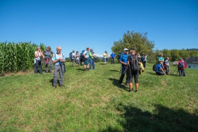 Kliknite za ogled večje slike
