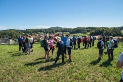 Kliknite za ogled večje slike