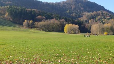 Kliknite za ogled večje slike