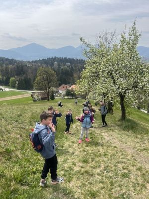 Kliknite za ogled večje slike