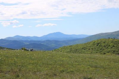 Kliknite za ogled večje slike
