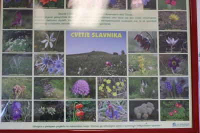 Kliknite za ogled večje slike