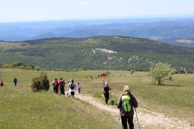 Kliknite za ogled večje slike