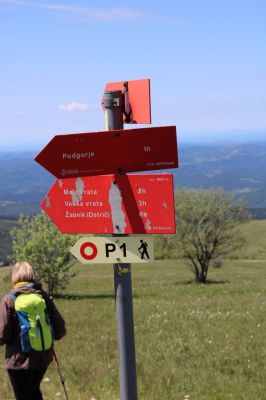 Kliknite za ogled večje slike