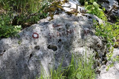 Kliknite za ogled večje slike