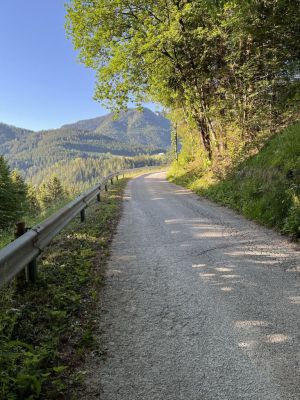 Kliknite za ogled večje slike