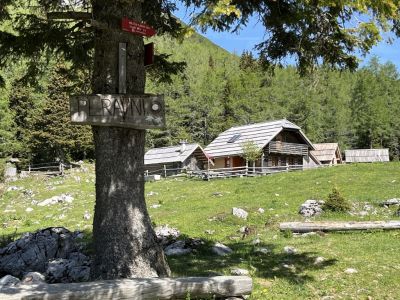 Kliknite za ogled večje slike