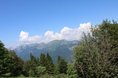 Kliknite za ogled večje slike