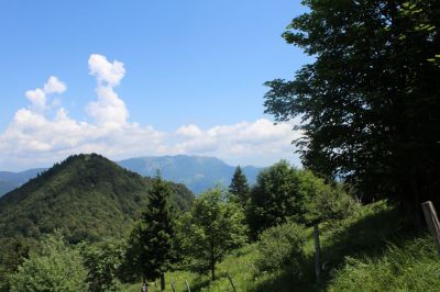 Kliknite za ogled večje slike