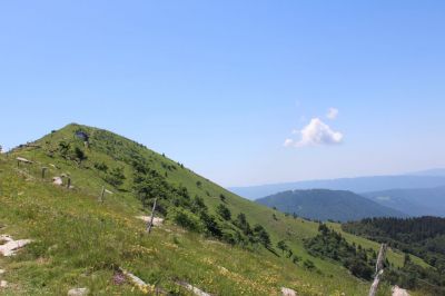 Kliknite za ogled večje slike