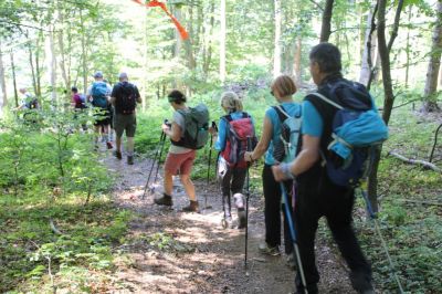 Kliknite za ogled večje slike
