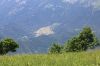 IMG_6991.JPG