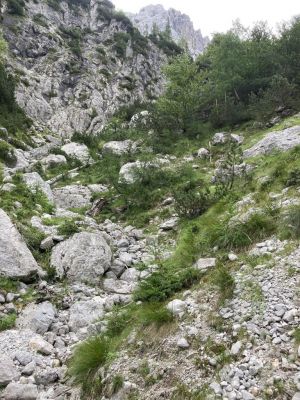 Kliknite za ogled večje slike
