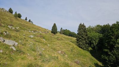 Kliknite za ogled večje slike