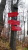 20160403_091533.jpg