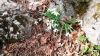 20160403_095753.jpg