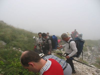 Kliknite za ogled večje slike