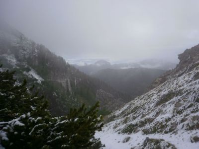 Kliknite za ogled večje slike