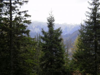 Kliknite za ogled večje slike