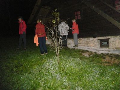 Kliknite za ogled večje slike