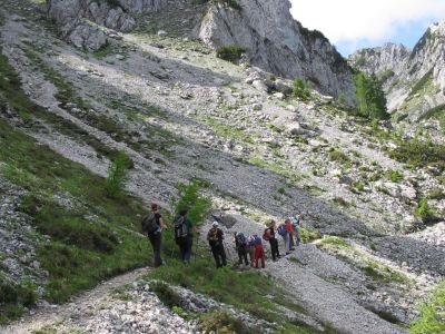 Kliknite za ogled večje slike