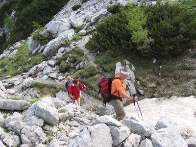 Kliknite za ogled večje slike