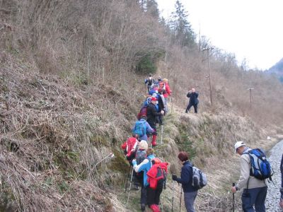 Kliknite za ogled večje slike