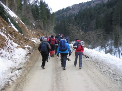 Kliknite za ogled večje slike