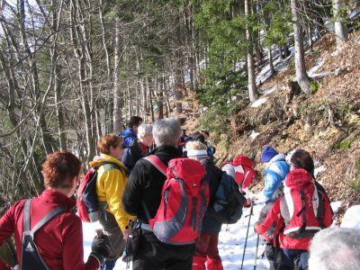 Kliknite za ogled večje slike