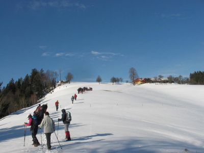 Kliknite za ogled večje slike