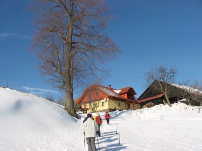 Kliknite za ogled večje slike