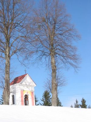 Kliknite za ogled večje slike