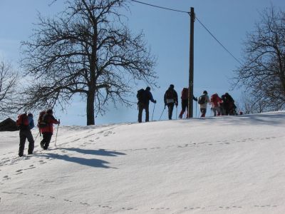 Kliknite za ogled večje slike