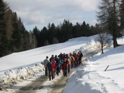 Kliknite za ogled večje slike