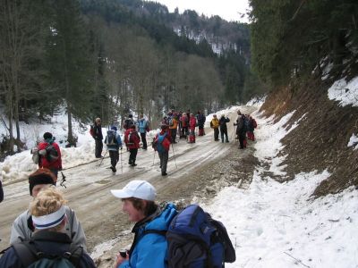 Kliknite za ogled večje slike