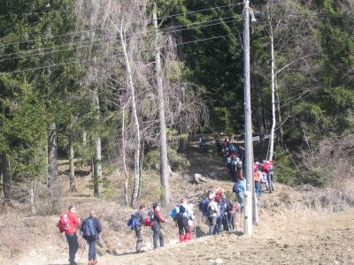 Kliknite za ogled večje slike