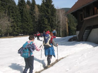 Kliknite za ogled večje slike