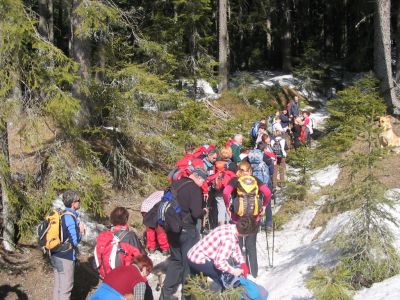 Kliknite za ogled večje slike