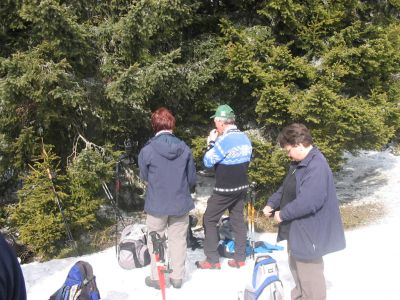 Kliknite za ogled večje slike