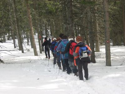 Kliknite za ogled večje slike