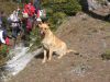 aKKP7Kosenjak140309_037.jpg