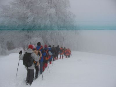 Kliknite za ogled večje slike