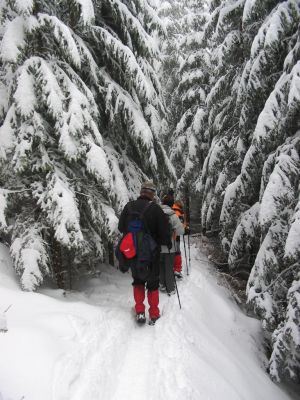 Kliknite za ogled večje slike